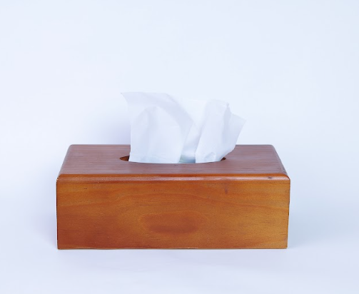 Handmade Wooden Tissue Box